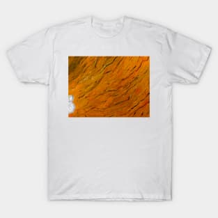 Orange T-Shirt